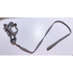 Correa 004