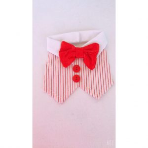 Traje 001