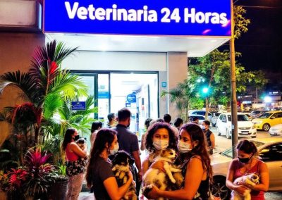 Veterinaria 24 Horas Cali